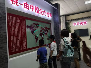 桃香引巧思，非遺潤(rùn)童心——奉賢錢橋?qū)W校暑期親子體驗(yàn)活動(dòng)側(cè)記